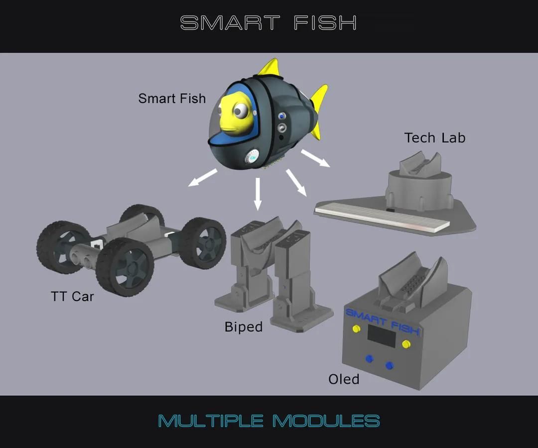 SM_MODULES.jpg