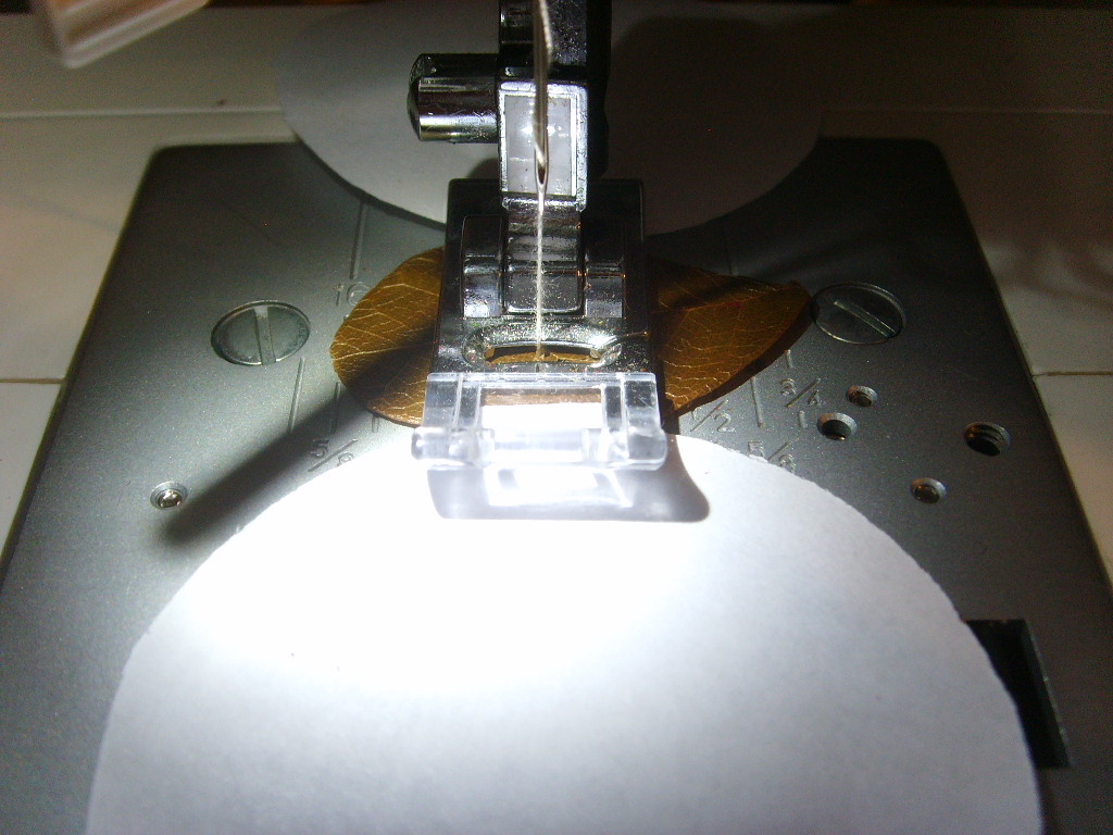 SSL25975.JPG