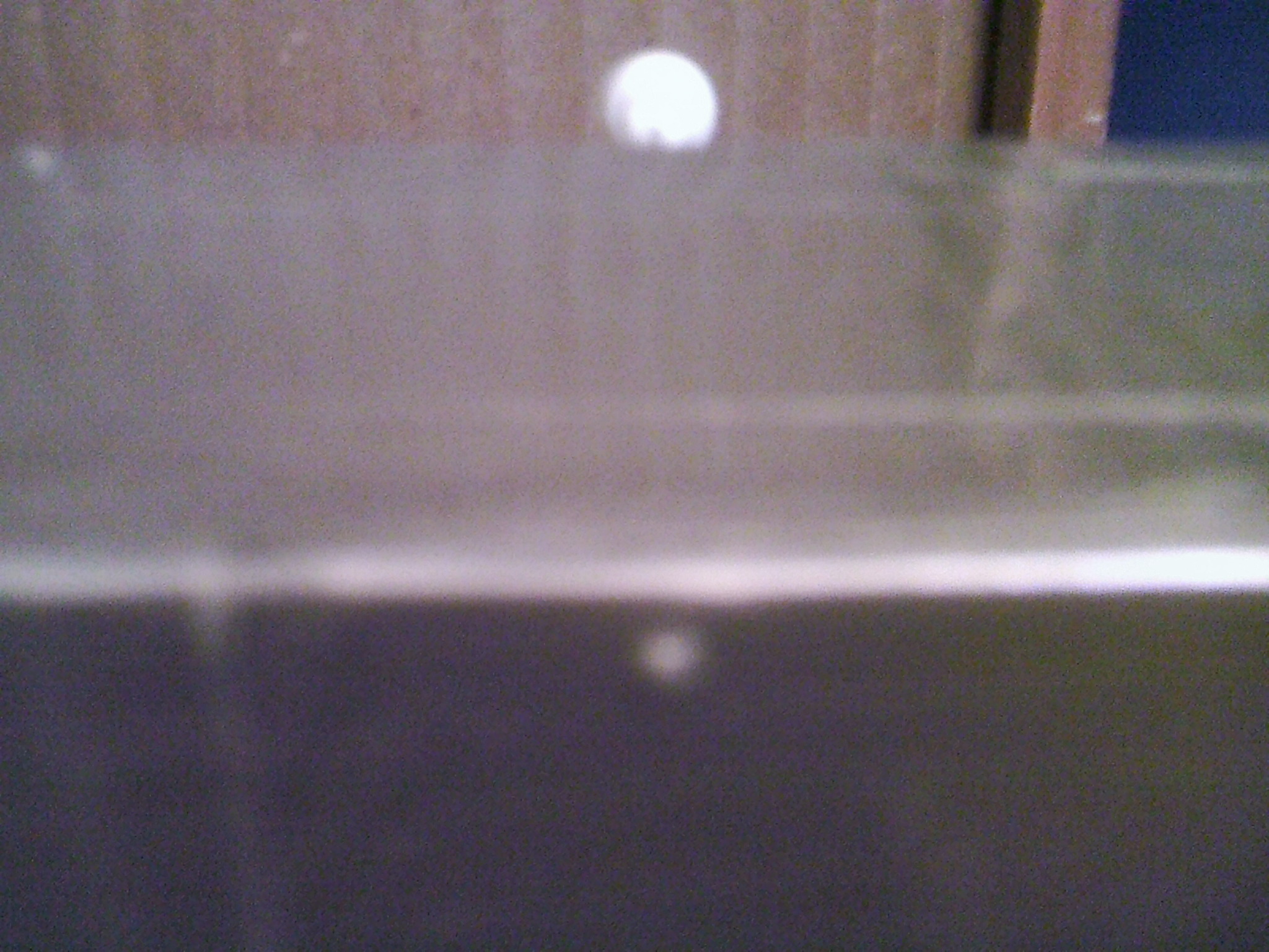 SUNP0062.JPG