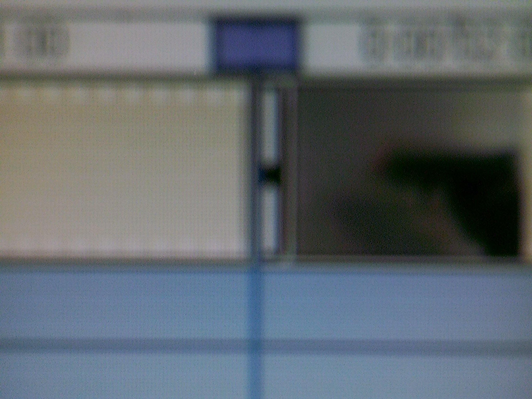 SUNP0109.JPG
