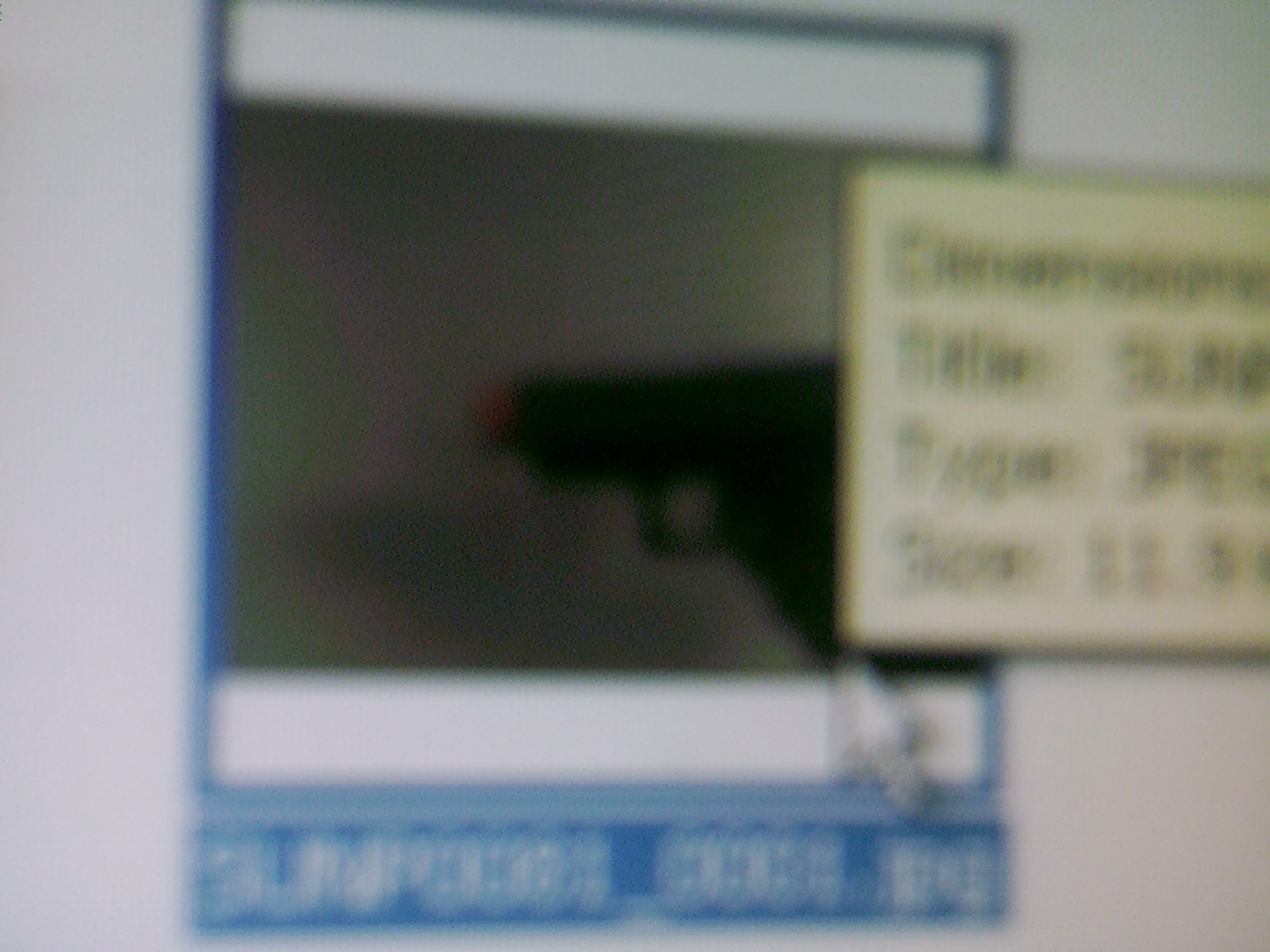 SUNP0113.JPG