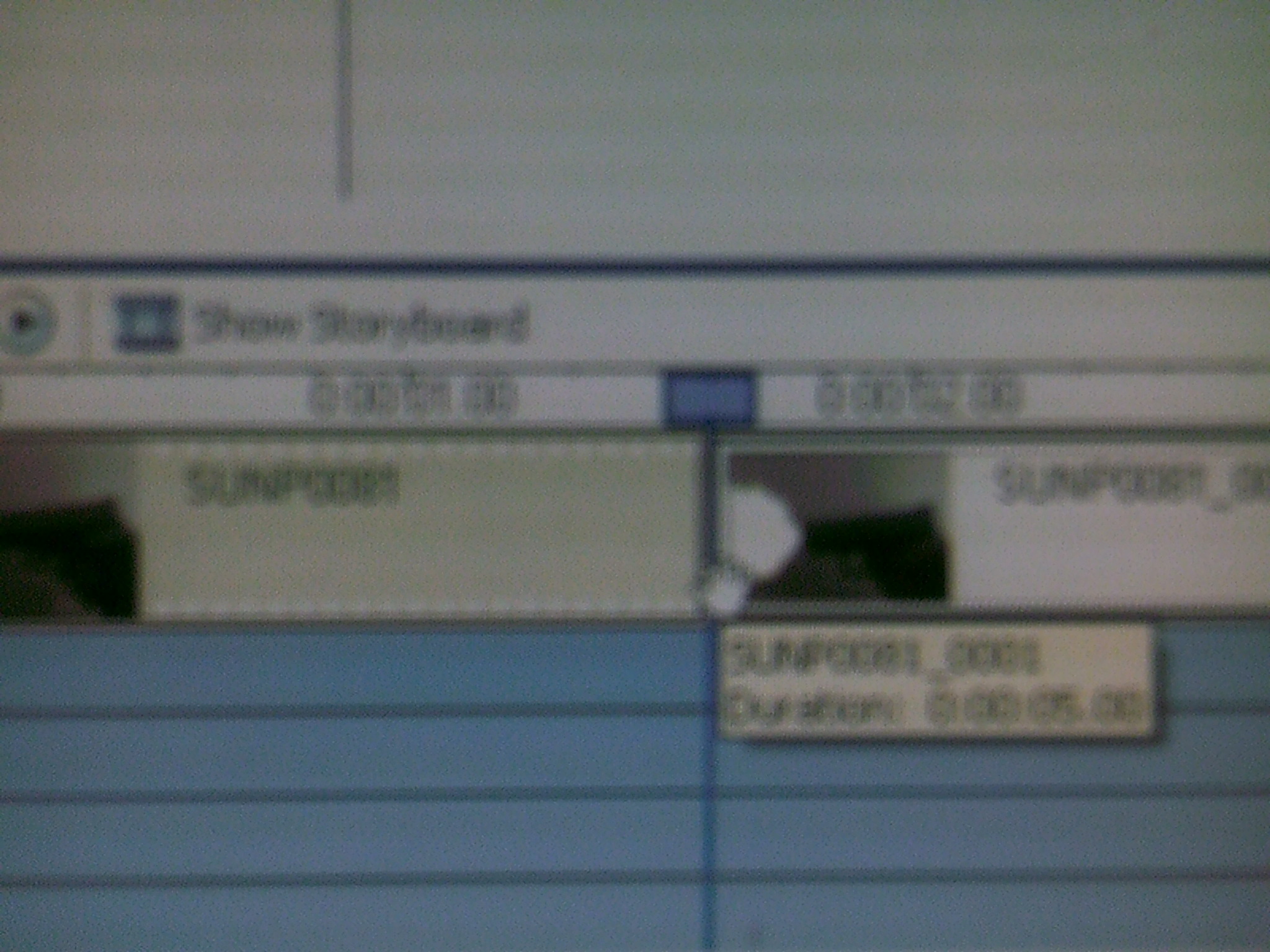 SUNP0131.JPG