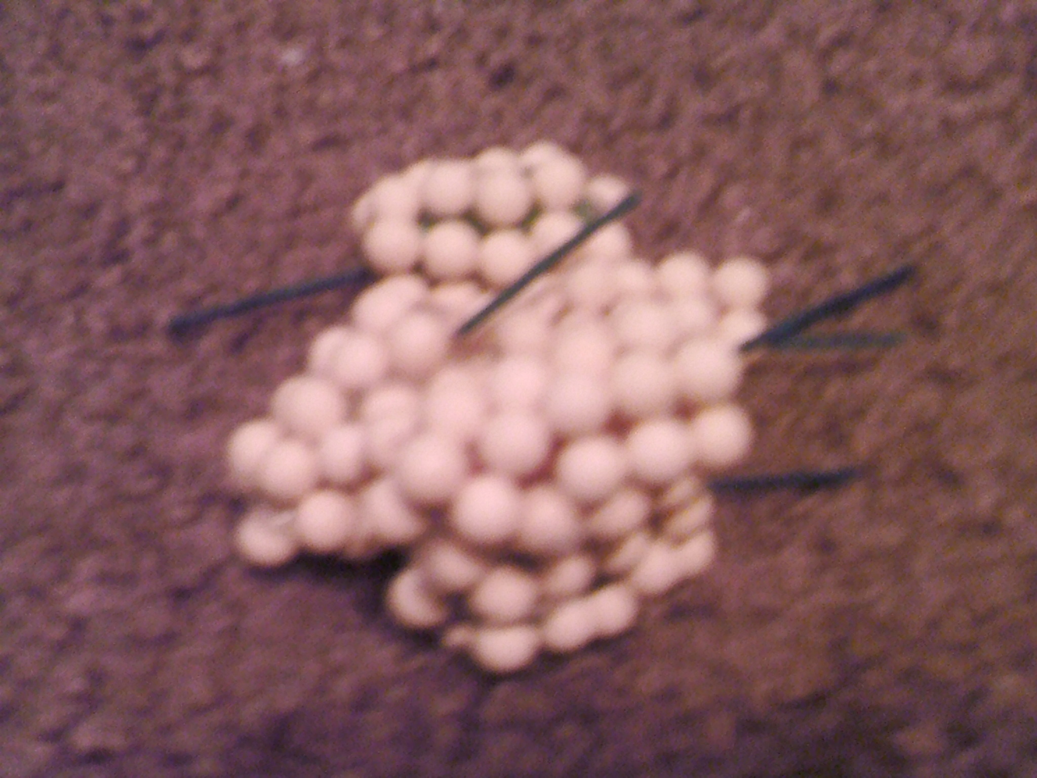 SUNP0509.JPG