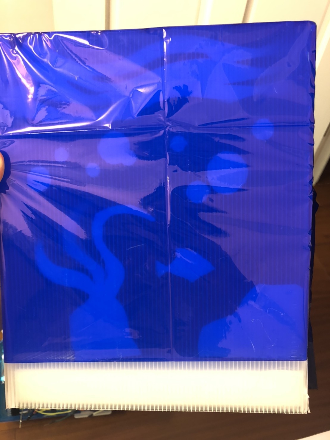 S__19038214.jpg