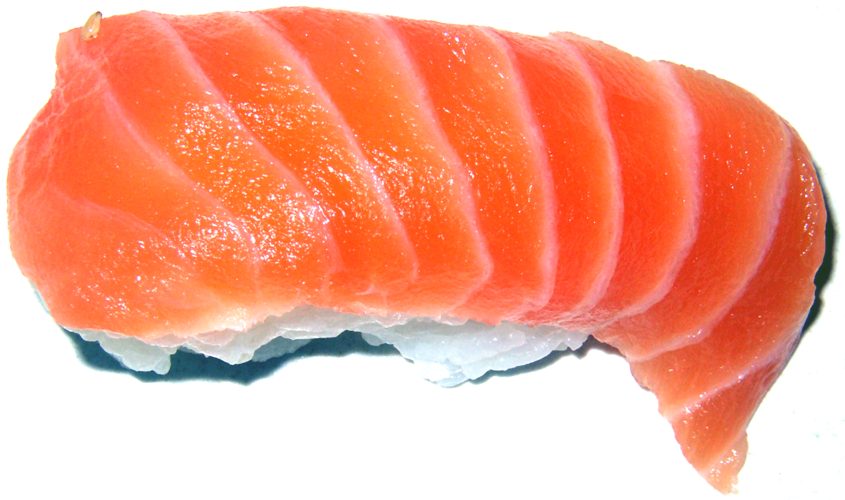 Salmon_Sushi.jpeg