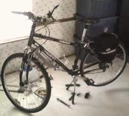 Schwinn crawler 36h wheels.jpg