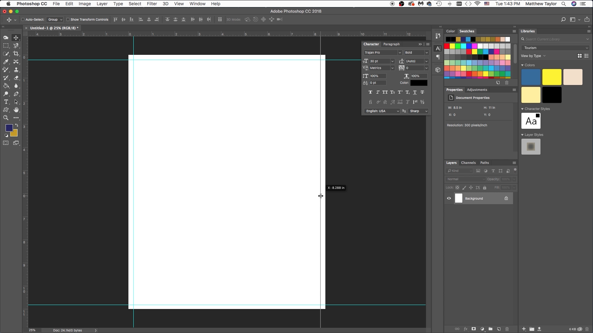 Screen Shot 2019-03-13 at 9.29.07 AM.png