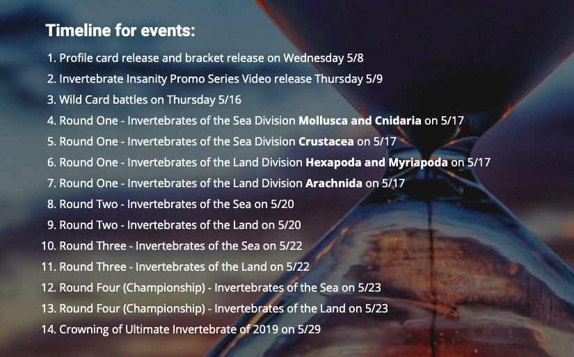 Screen Shot 2019-07-09 at 7.57.57 AM.png