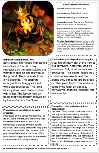 Screen Shot 2019-07-13 at 9.08.03 AM.png