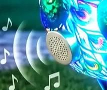Screenshot_20260727-111225~2.jpg