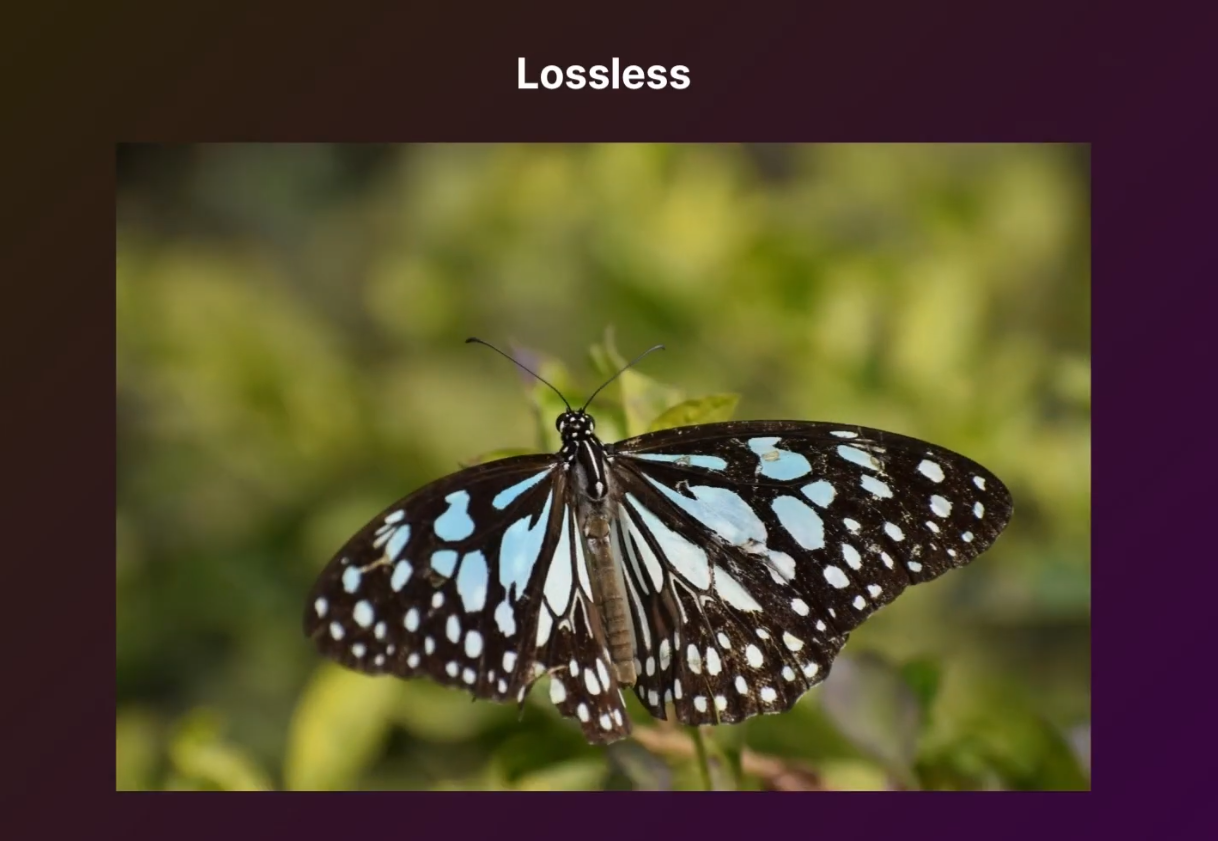 Screenshot_20260814_160555.png