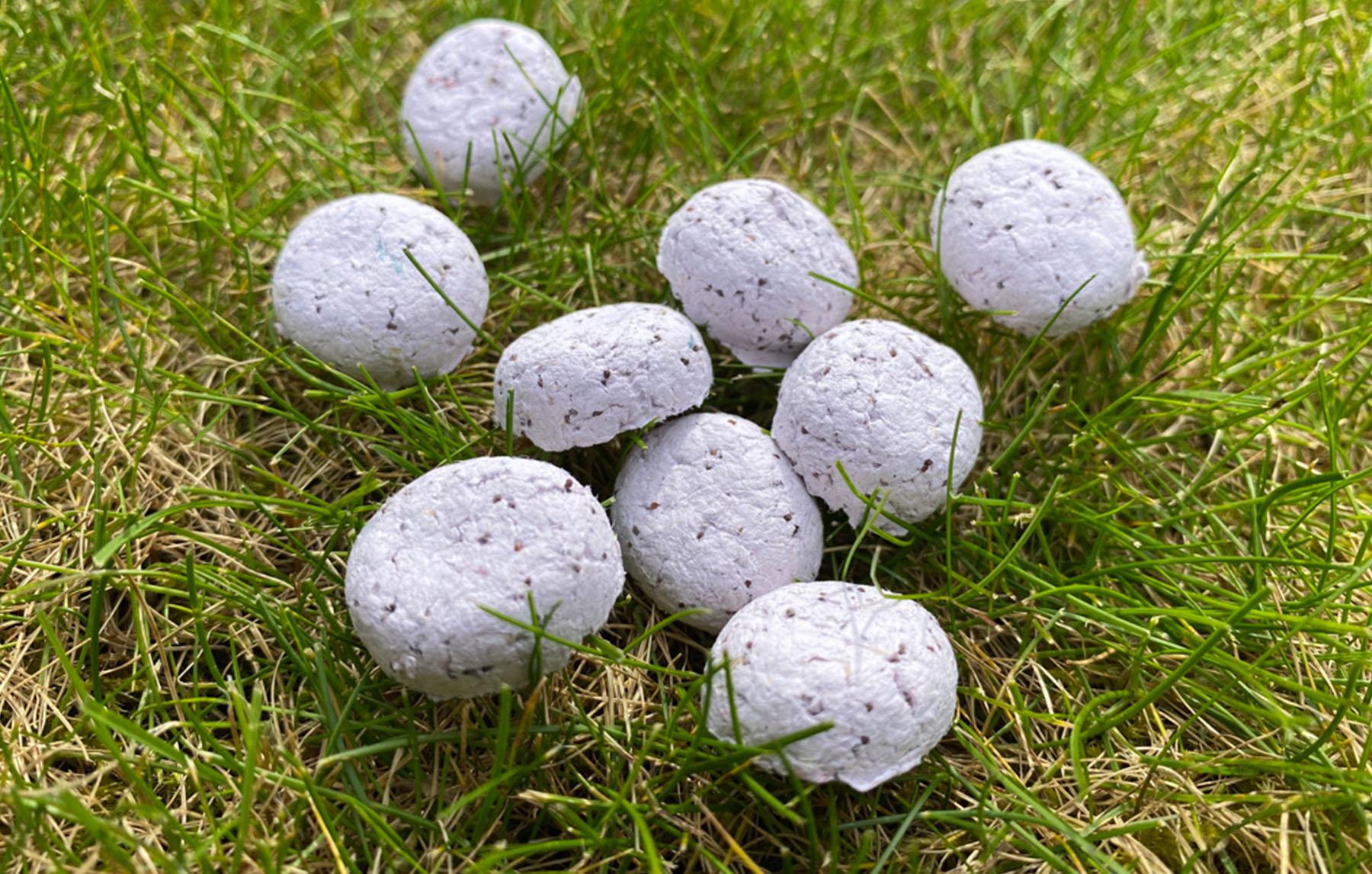 Seed Bombs Blog Hero Image.jpg