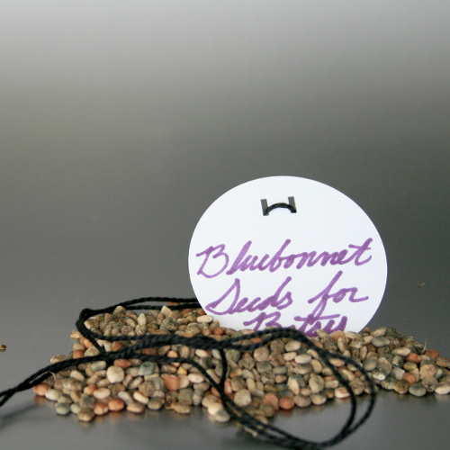 SeedMaterials.jpg