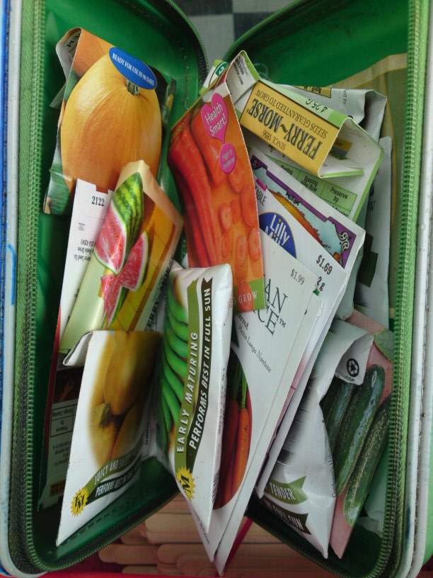 Seeds in Holder.jpg