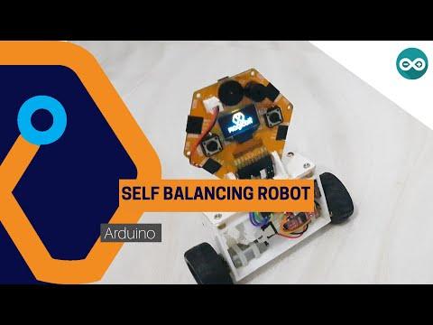 Self Balancing Robot from Magicbit