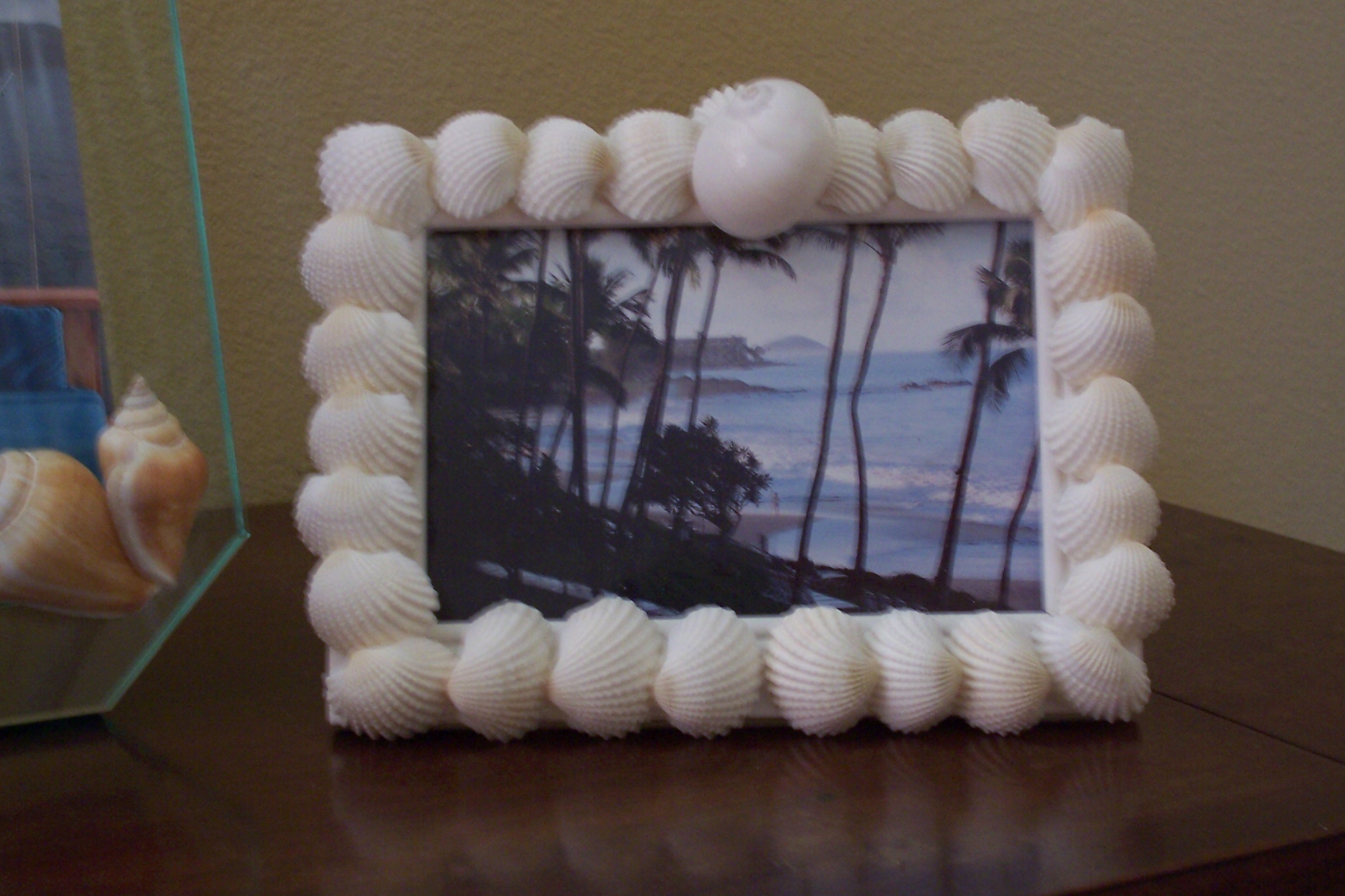 SheSellsSeaShells 007.jpg