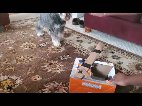 Simple Dog treat launcher test