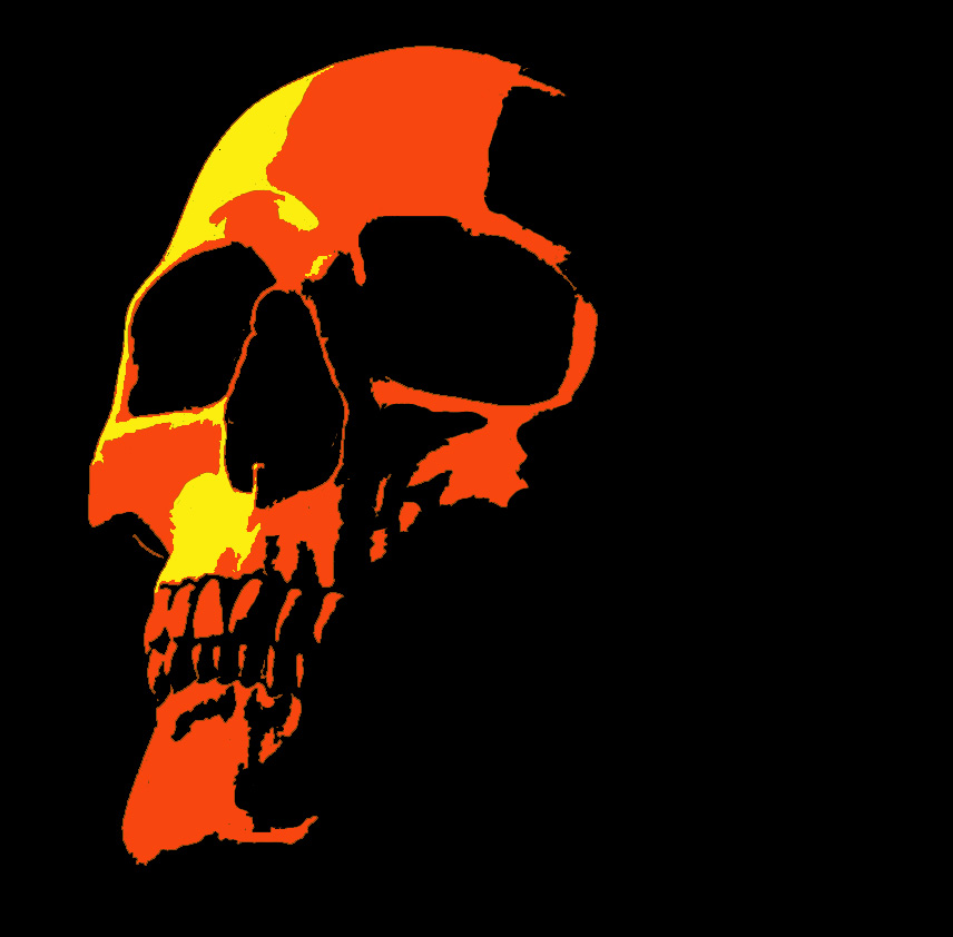 SkullPumpkin.jpg
