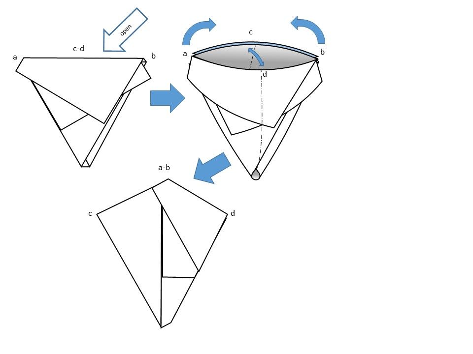 Slide6.JPG