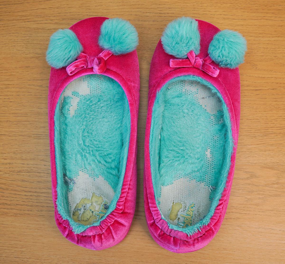 Slippers 1b.jpg