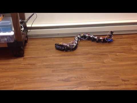 Snake Robot, Autonomous Motion