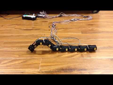 Snake Robot, Rectilinear Motion