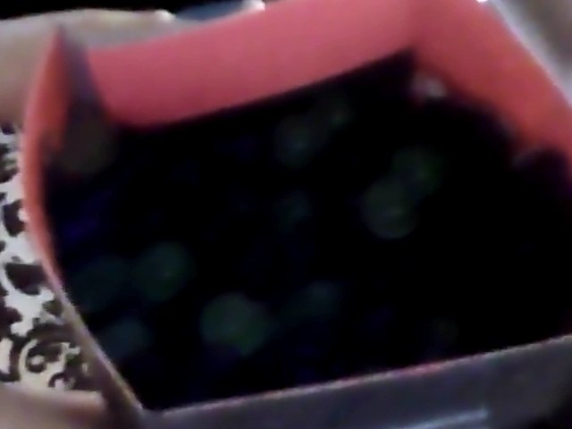 Snapshot_20111228_19.JPG