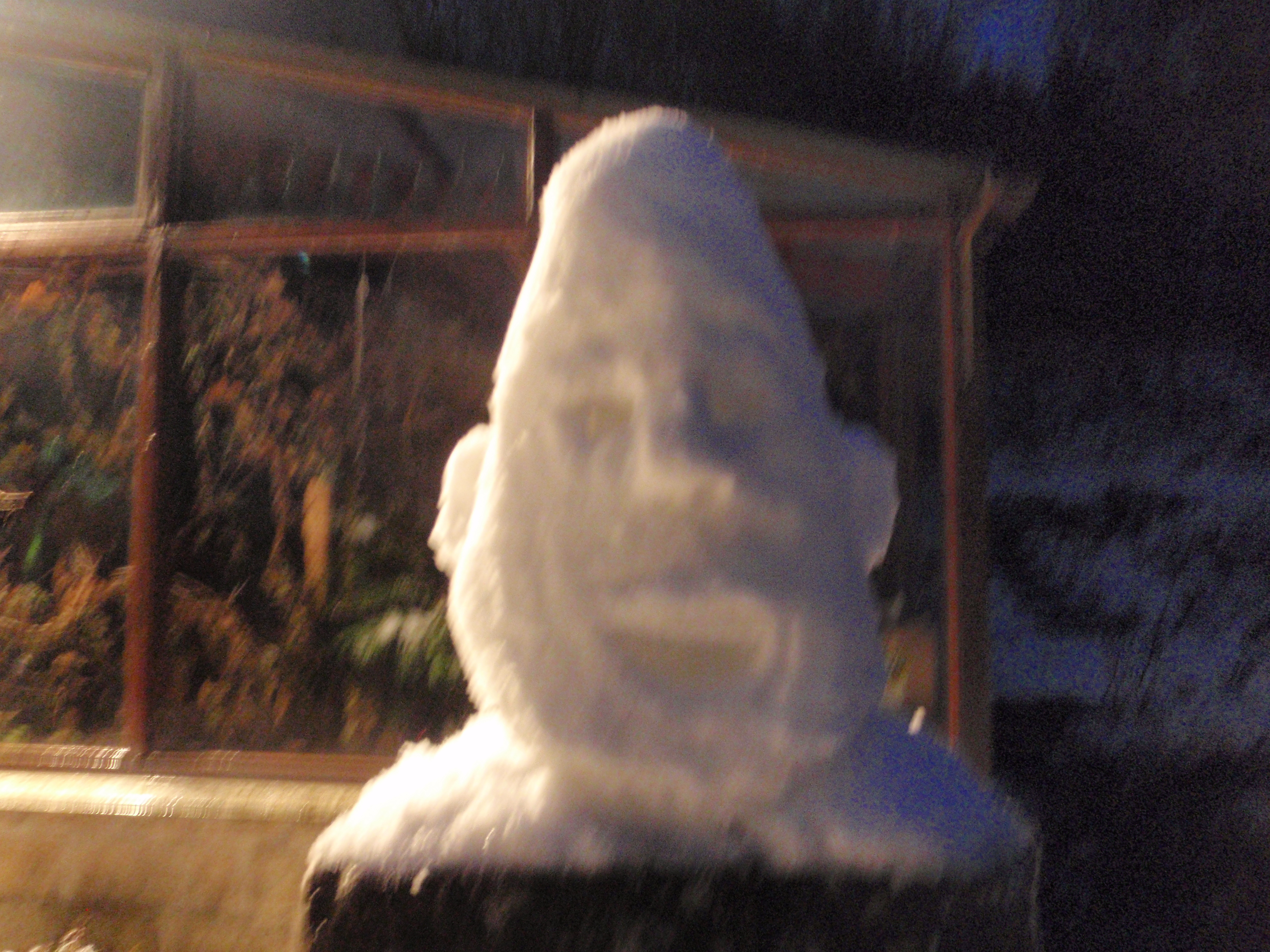 Snow Gentleman 011.jpg