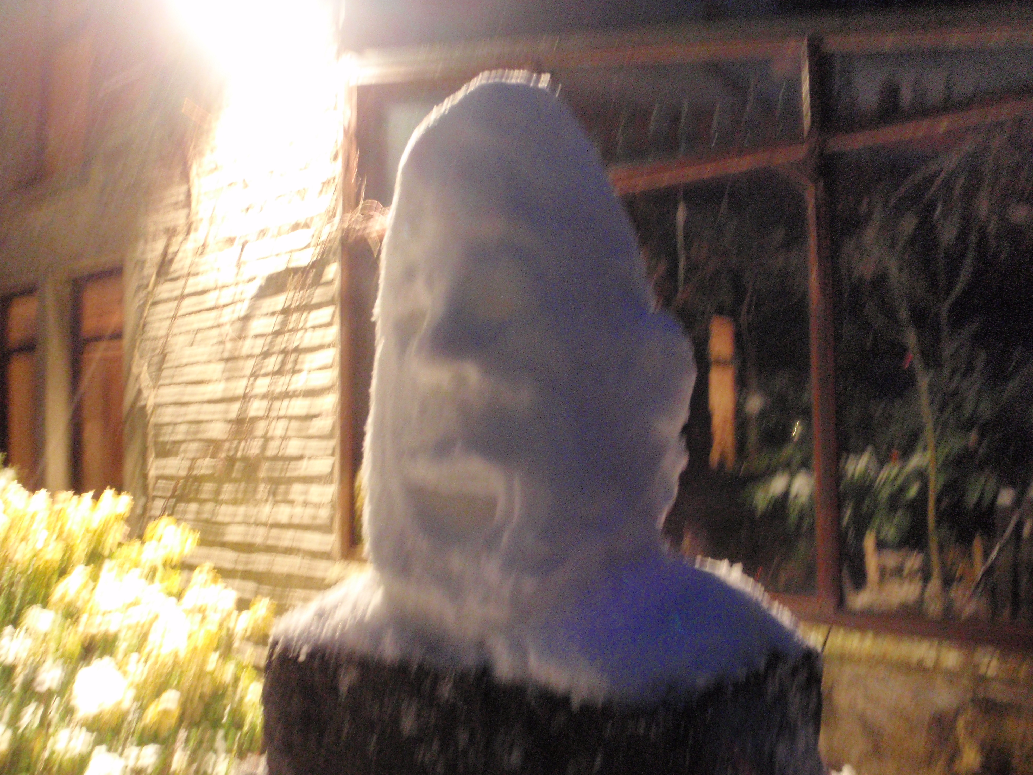 Snow Gentleman 013.jpg