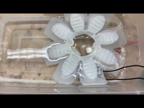 Soft Robotic Jellyfish Testing