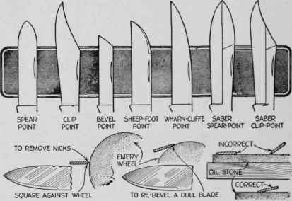 Some-of-the-more-common-shapes-for-pocketknife-and-9632-ja.jpg