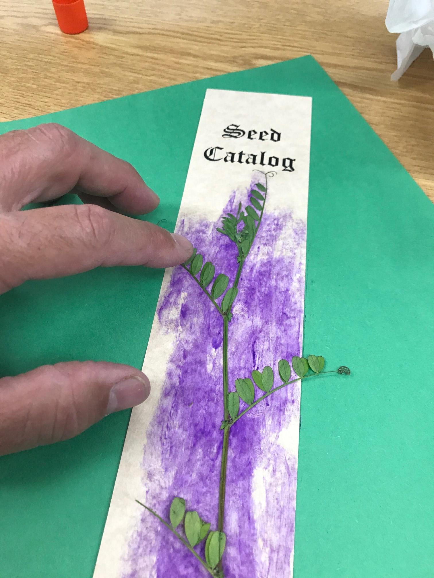 Spine Dried Flowers.jpg