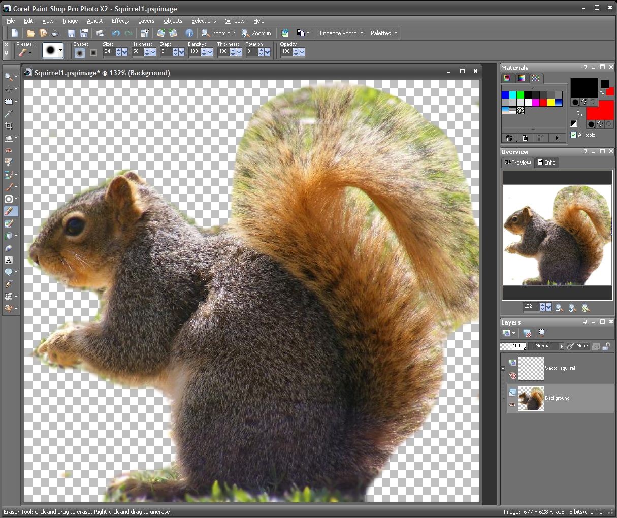 Squirrel PSP 02.jpg