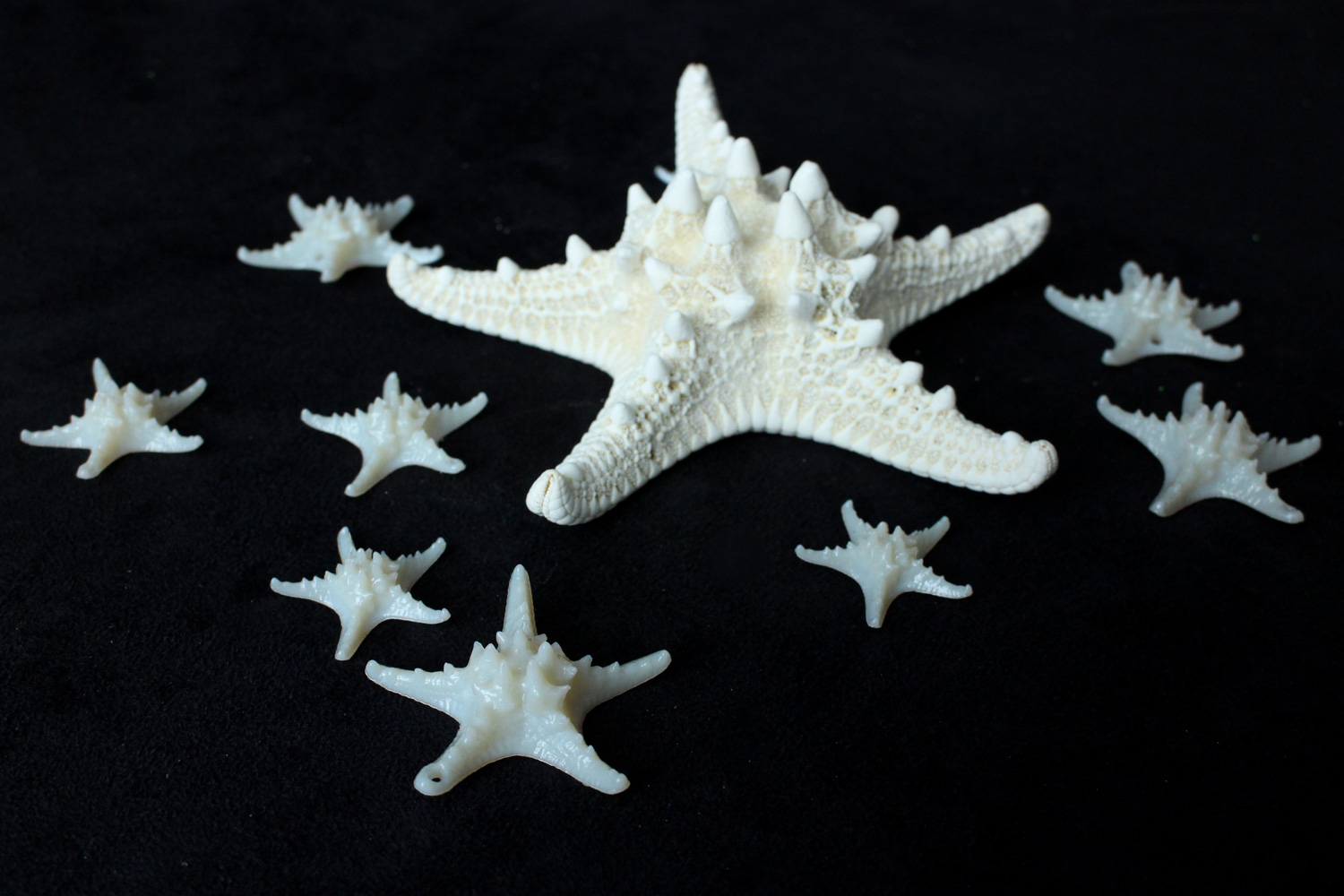 Starfish Earrings-31.jpg