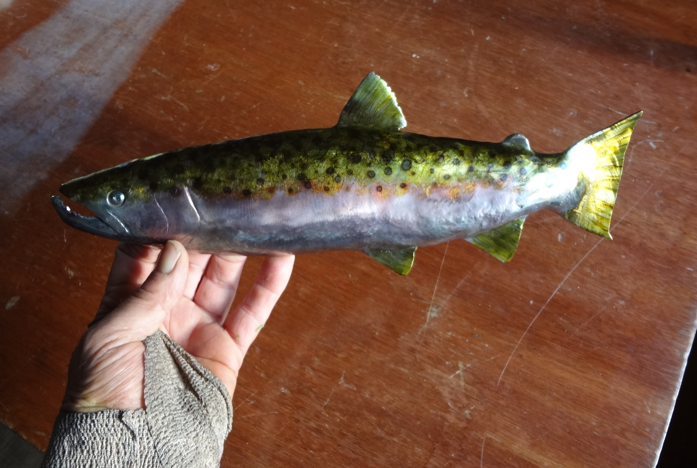 Steelhead trout w color.JPG