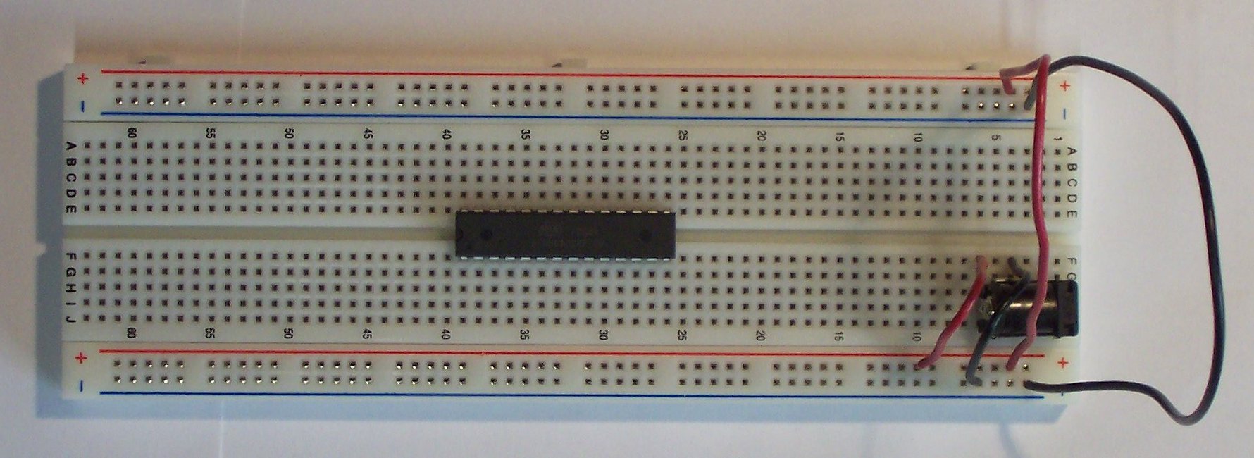 Step 3 - Chip Placement 1.jpg