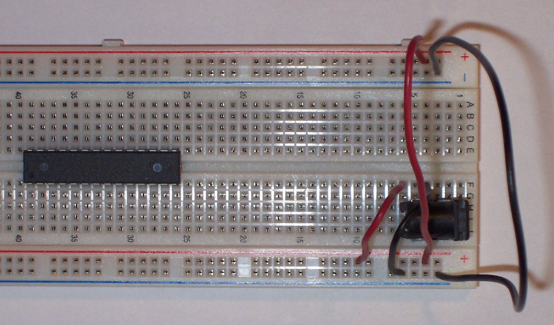 Step 3 - Chip Placement 2.jpg