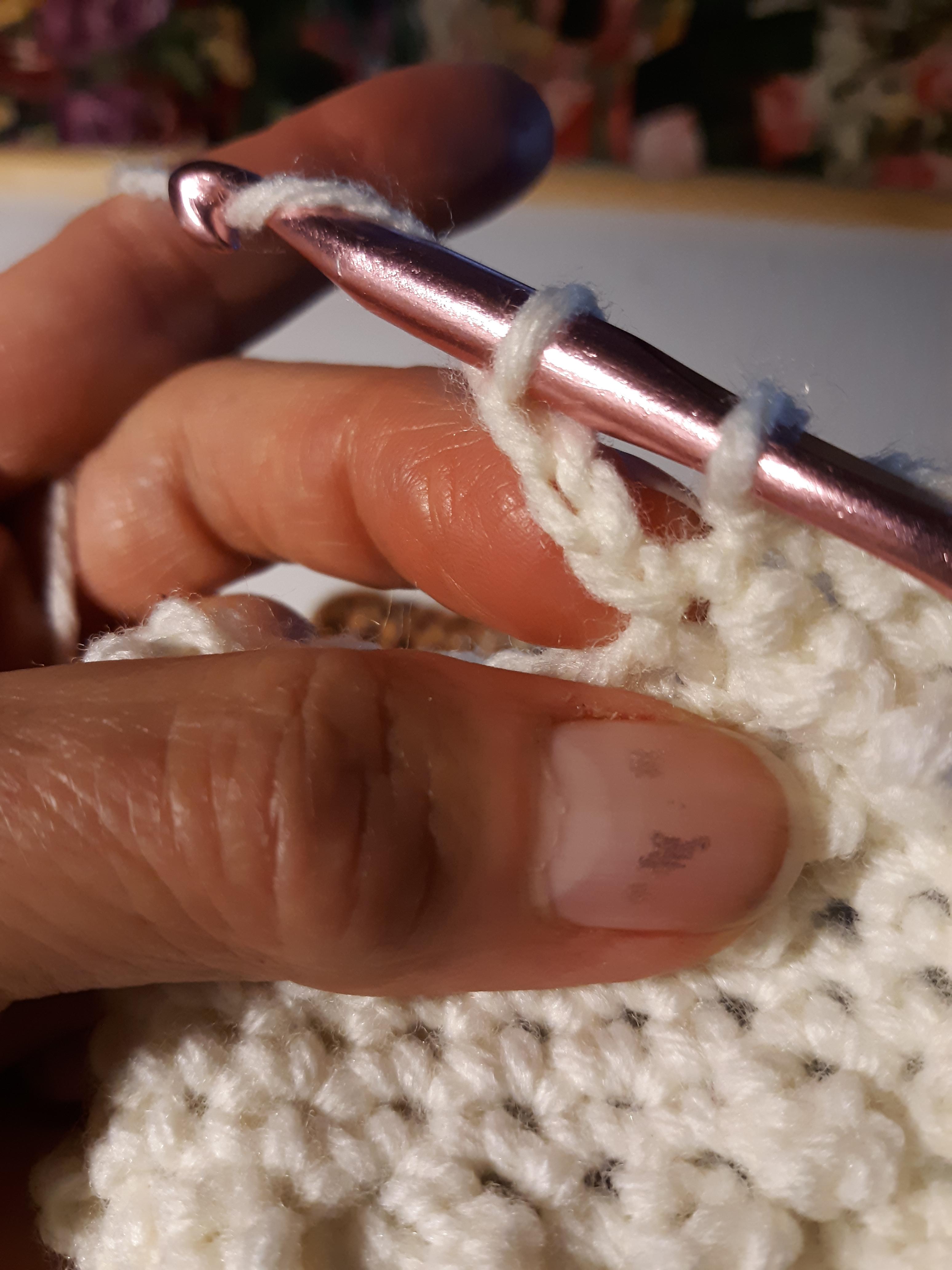 Step 4_Berry Stitch (6).jpg