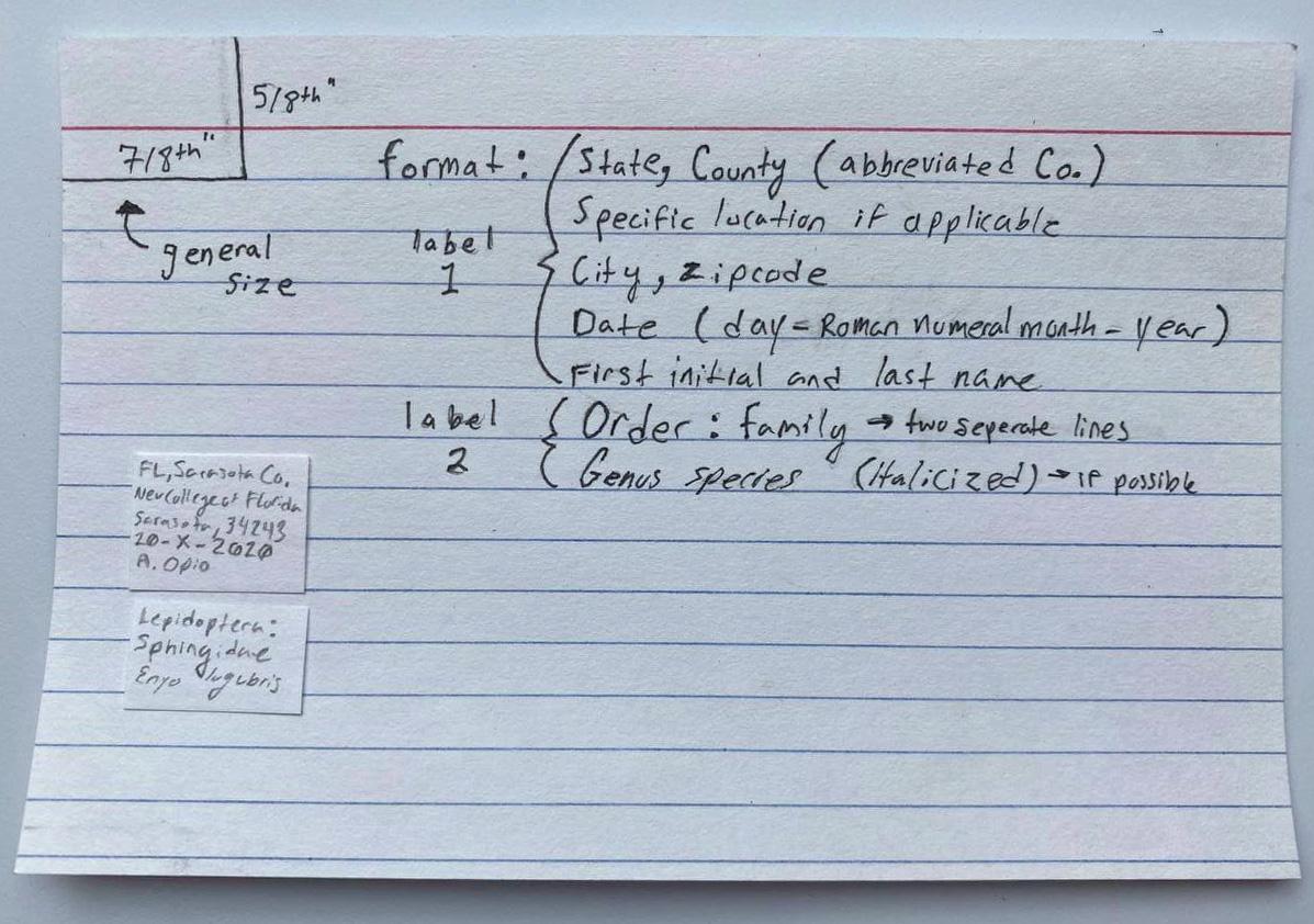 Step 6 Label Formatting.jpg