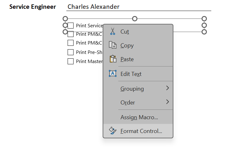 Step 7 Check Box Format control.png