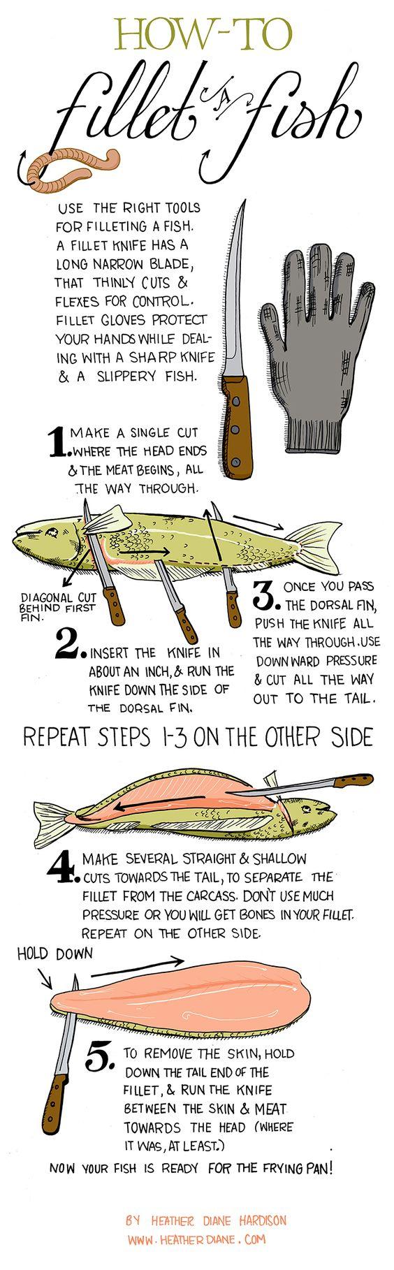 Step by Step to Filet a Fish.jpg