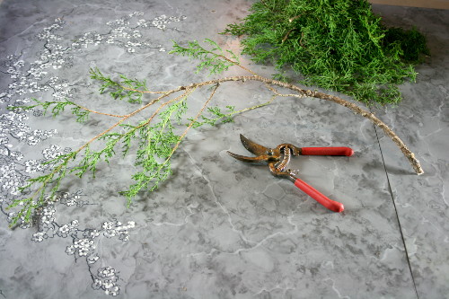 Step03.jpg