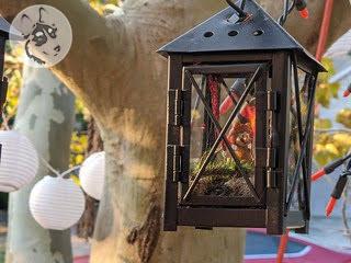 StewieWorks_hanging lantern.jpg