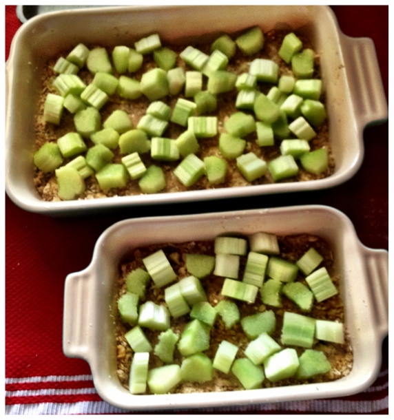 StrawberryRhubarbCrisp8 (572x610).jpg