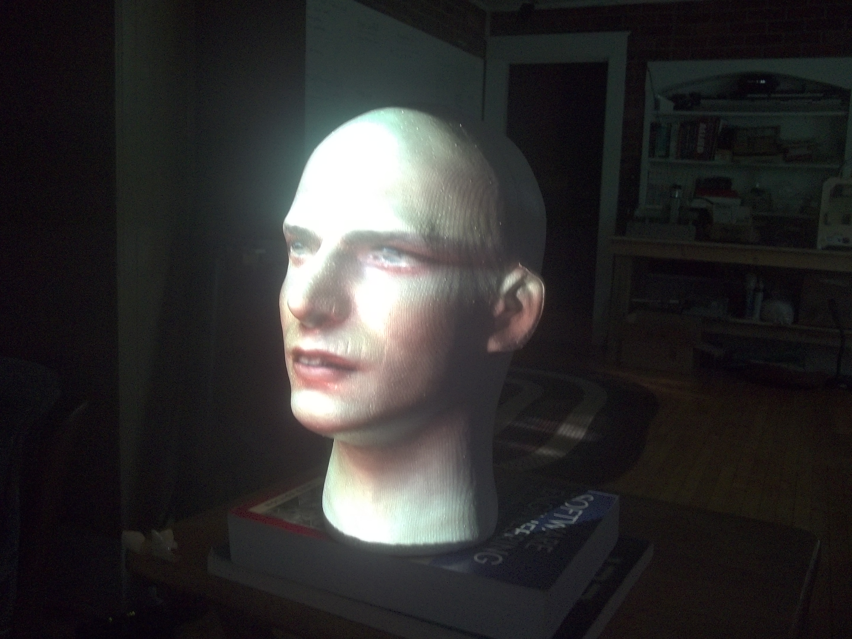 Styrofoam head with bezier surface (1).JPG