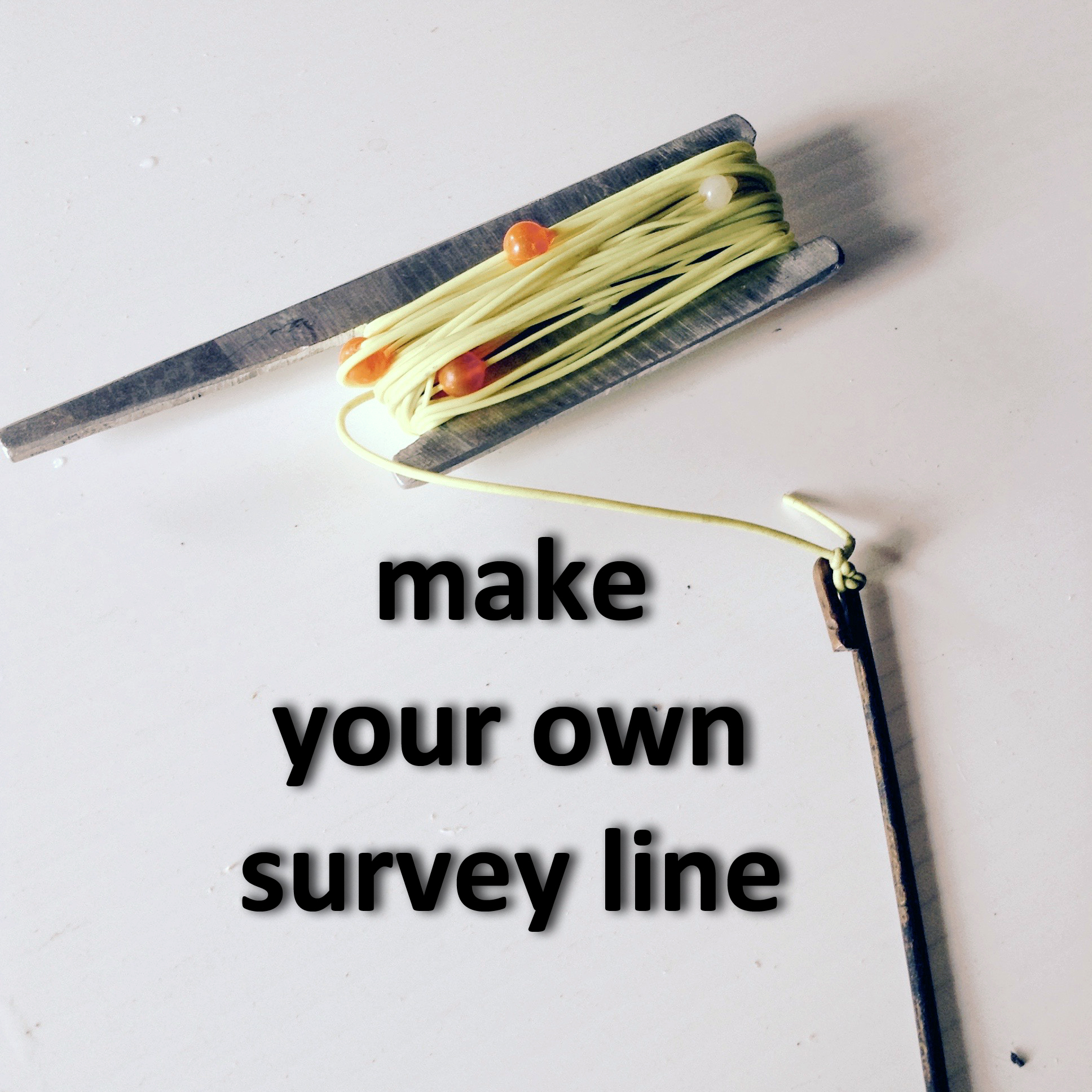 SurveyLine.jpg