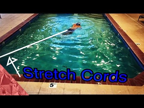 Swimming while traveling. Stretch cords technique