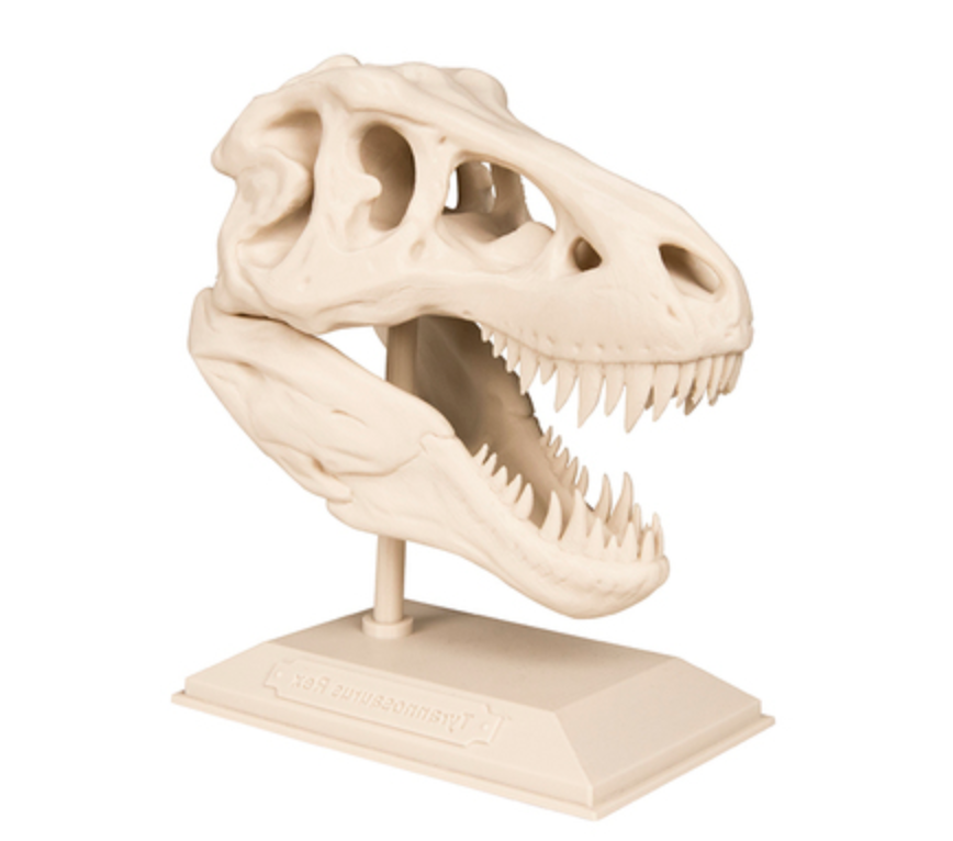 T-Rex skull thingiverse.png