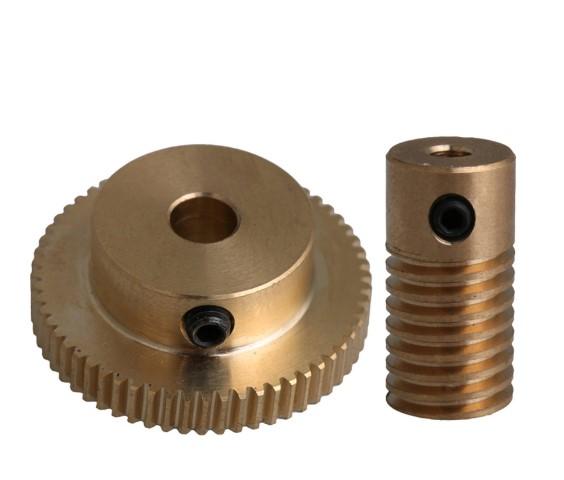 T60 Brass Worm Gear.jpg