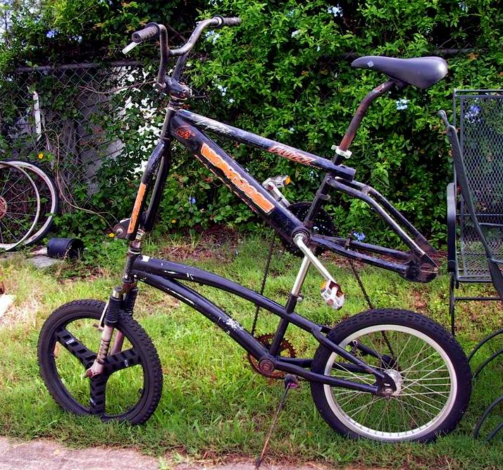 TALLS003 (Large).JPG